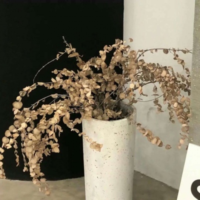 Furry兽设临摹素材福瑞群